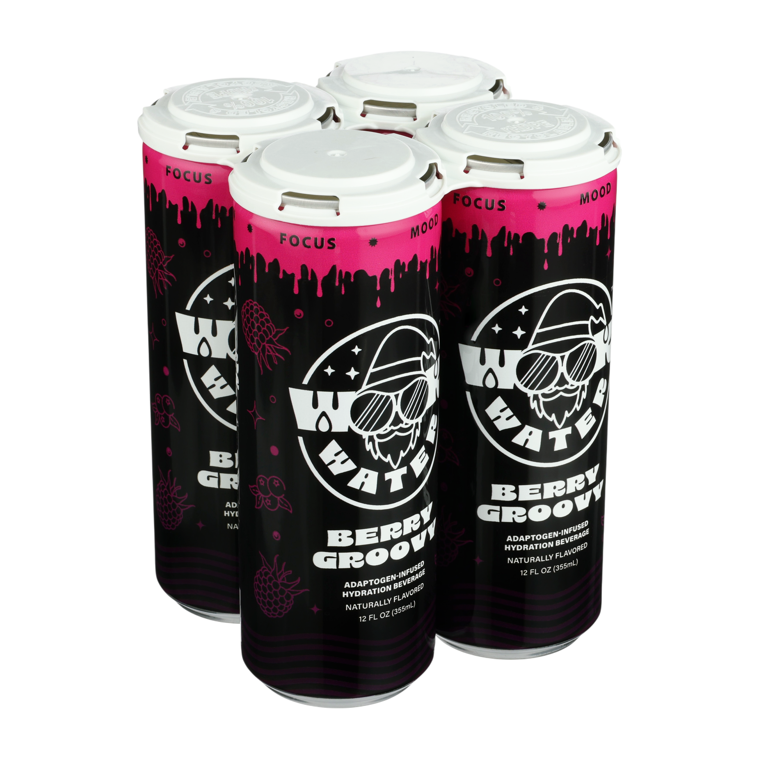 Berry Groovy 4 Pack – Wook Water